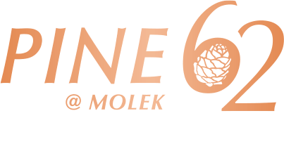 Pine62 @ Molek - Berinda Properties - Homes for Life