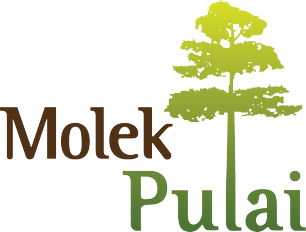 Molek Pulai - Berinda Properties - Homes for Life